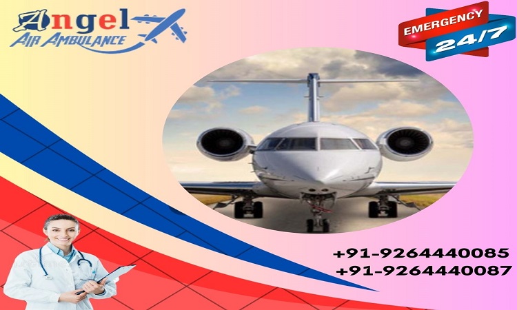 Angel Air Ambulance Services in Allahabad